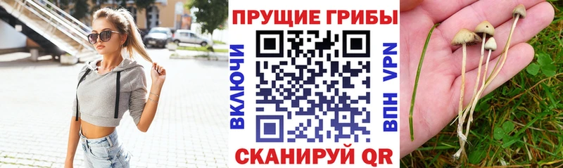 Галлюциногенные грибы мухоморы Шарыпово