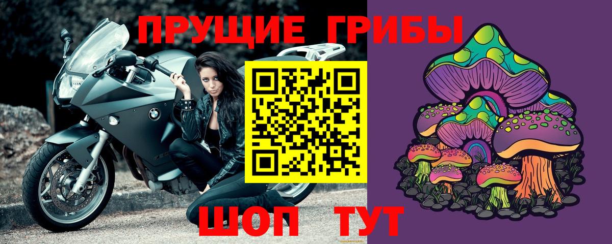 Псилоцибиновые грибы Psilocybe  Вход с VPN  Псилоцибиновые грибы прущие грибы  Шарыпово 